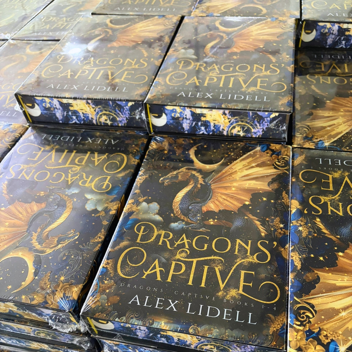Dragons' Captive Omnibus